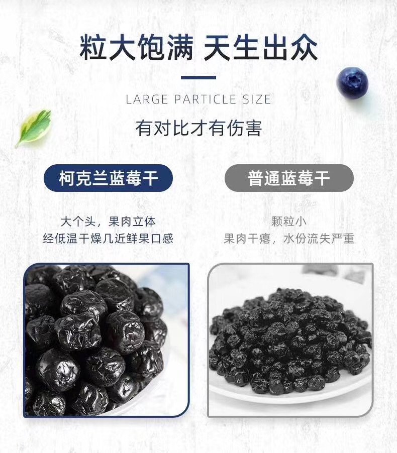 Kirkland天然蓝莓干567g