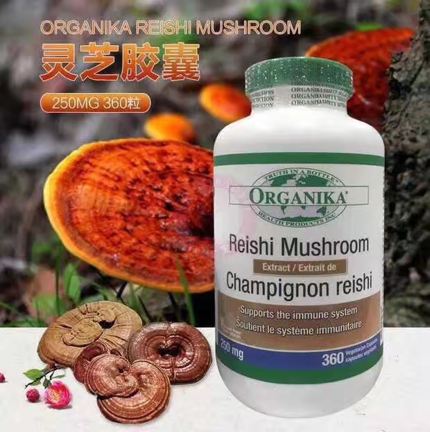 Organika灵芝粉胶囊360粒