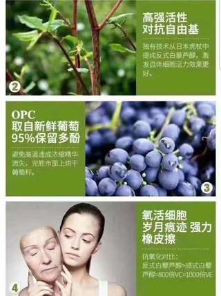 Webber Naturals韦伯高浓度葡萄籽精华90粒