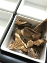 Wild Mushroom Co. Gourmet Mix Mushrooms